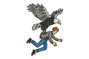 Eagle bird kidnaps human sketch