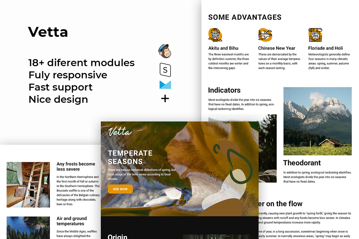 Vetta – Responsive Email template in Mailchimp Templates - product preview 8