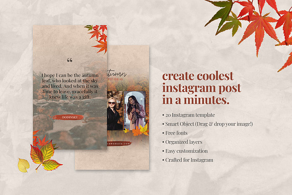 Autumn Instagram Stories Bundle in Instagram Templates - product preview 1