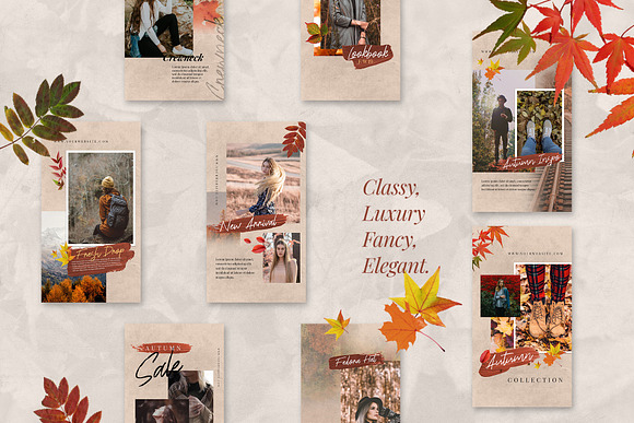 Autumn Instagram Stories Bundle in Instagram Templates - product preview 3