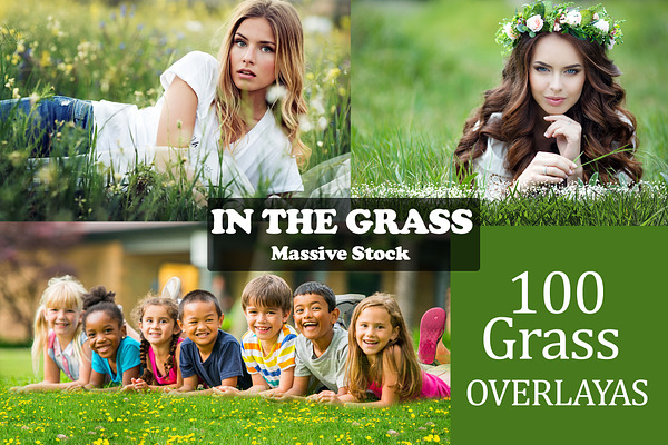 In the Grass Overlays, grass texture