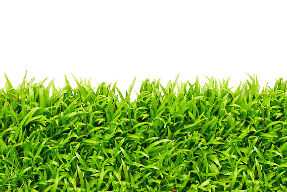 In the Grass Overlays, grass texture in Objects - product preview 7