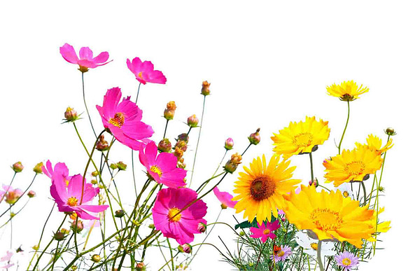 In the grass with flowers overlays in Objects - product preview 9