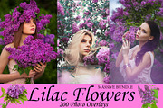 Bundle Lilac Flower Overlays