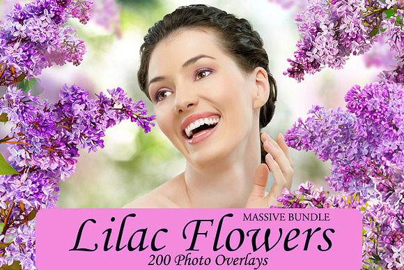 Bundle Lilac Flower Overlays in Objects - product preview 1