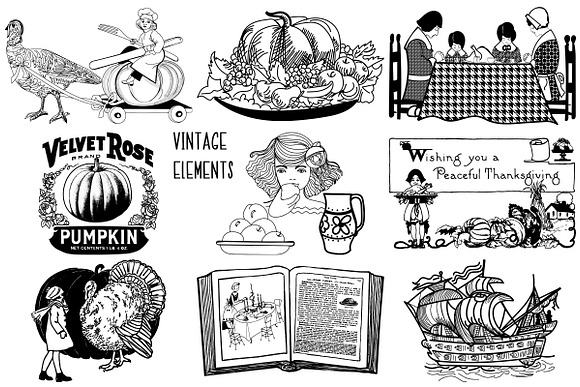 Thanksgiving Vintage/Illustrative in Illustrations - product preview 4