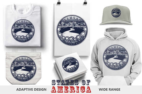 States of America in Graphics - product preview 2