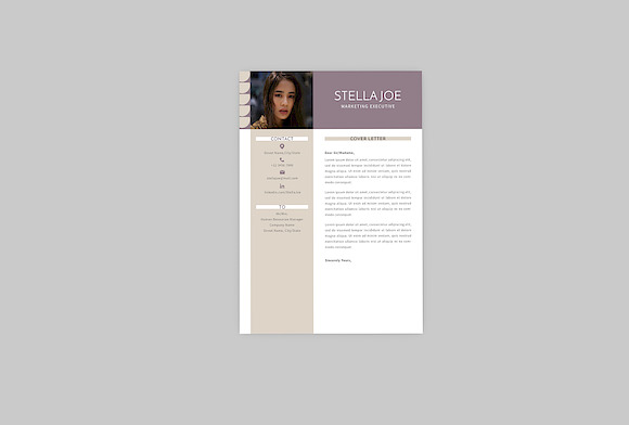 Marketing Executive Resume Designer in Resume Templates - product preview 1