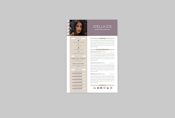 Marketing Executive Resume Designer in Resume Templates - product preview 2