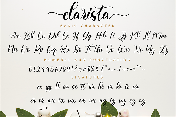 Clarista Script in Script Fonts - product preview 10