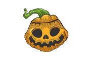 Halloween pumpkin sketch engraving