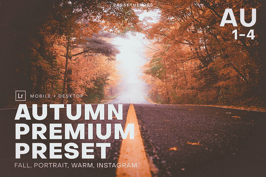PH Autumn Lightroom Preset in Add-Ons - product preview 8