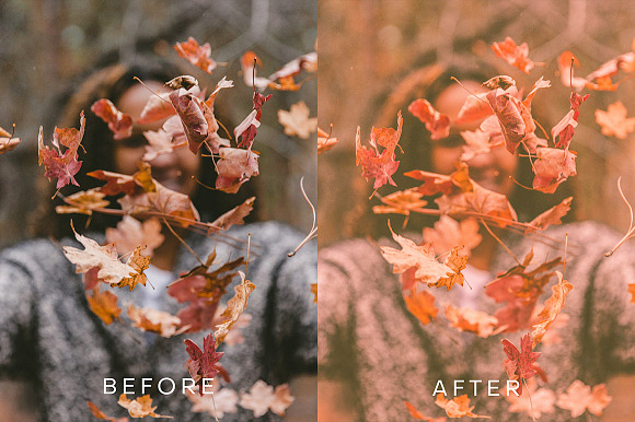 PH Autumn Lightroom Preset in Add-Ons - product preview 1