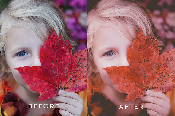 PH Autumn Lightroom Preset in Add-Ons - product preview 3