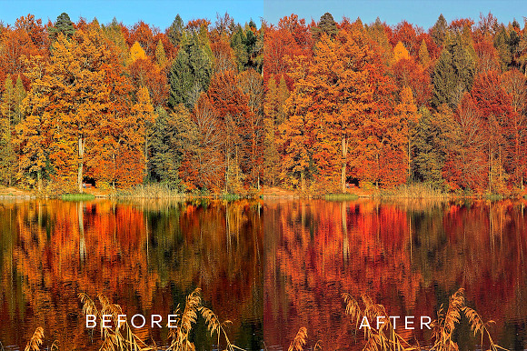 PH Autumn Lightroom Preset in Add-Ons - product preview 4