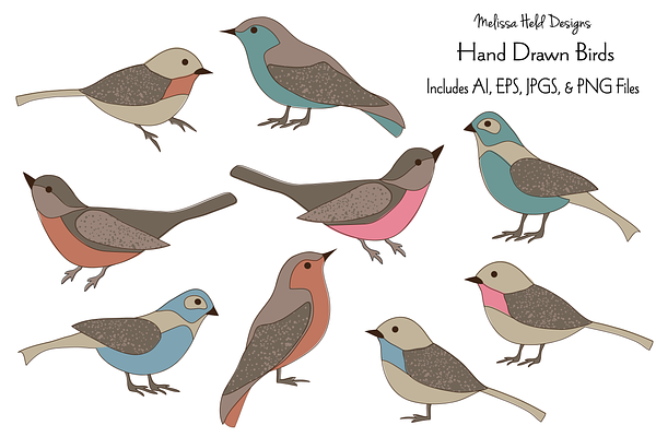 Hand Drawn Birds