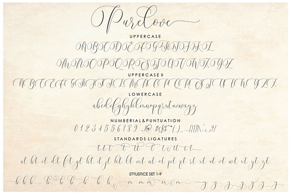 Purelove Script in Script Fonts - product preview 12