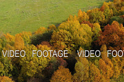 Autumn forest and fields in the