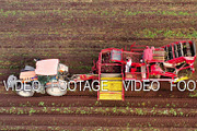 aerial view of harvesting sugar