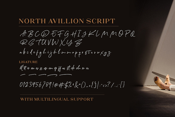 North Avellion - Script & Serif Duo in Display Fonts - product preview 9