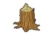 Stump made by beaver sketch vector