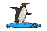 Penguin rides on surfboard sketch