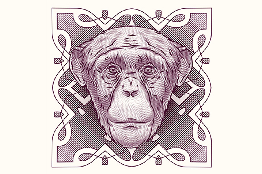 Engraving head of the monkey in Illustrations - product preview 8