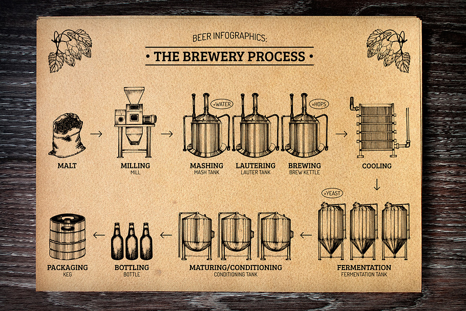 The brewery process infographics in Illustrations - product preview 8