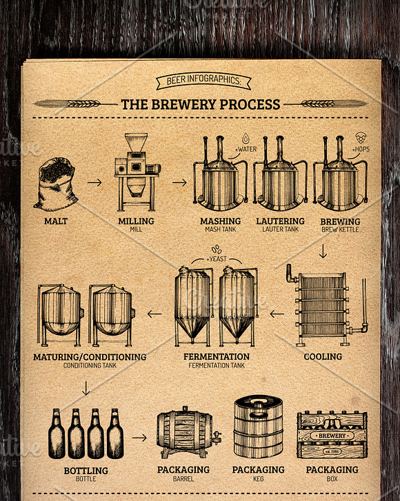 The brewery process infographics in Illustrations - product preview 2