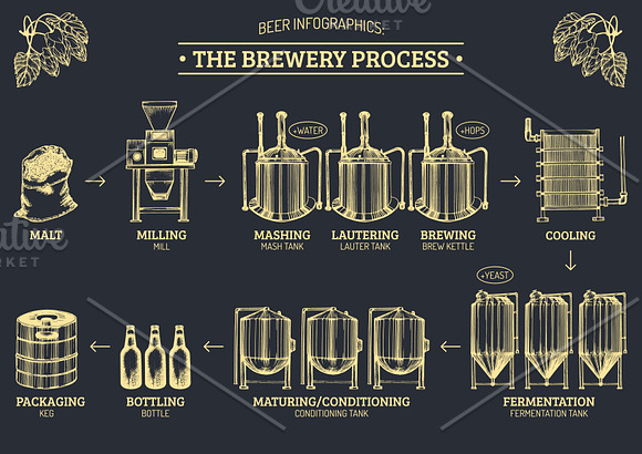 The brewery process infographics in Illustrations - product preview 5