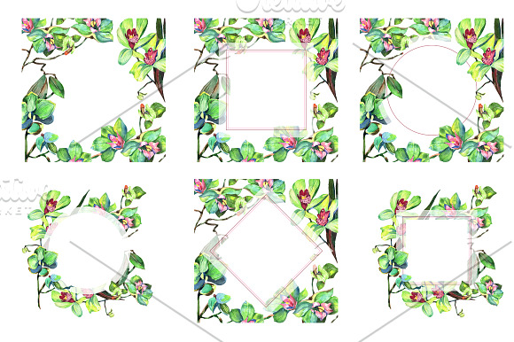 Orchid green flowers PNG watercolor in Illustrations - product preview 1
