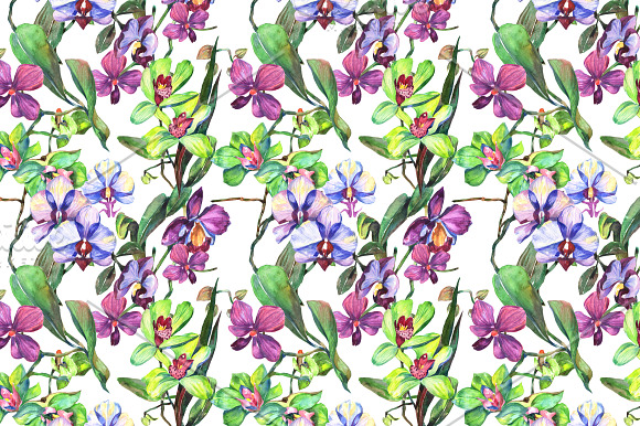 Orchid green flowers PNG watercolor in Illustrations - product preview 3