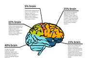 Cerebration infographic template