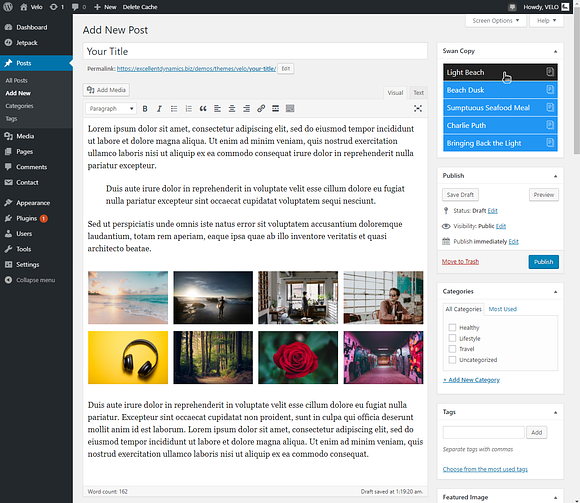 Swan Copy - Content Manager in Wordpress Plugins - product preview 1