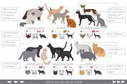 Domestic cat breeds and hybrids