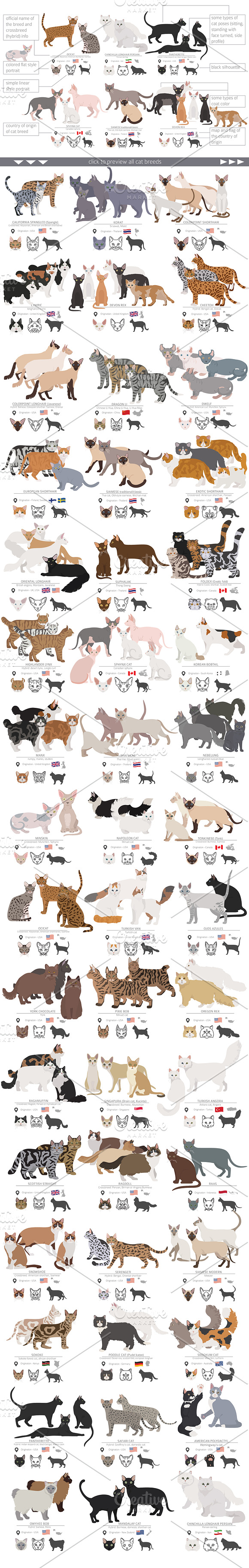 Domestic cat breeds and hybrids in Illustrations - product preview 1