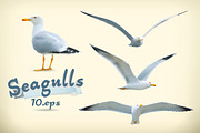 Seagulls vector icons