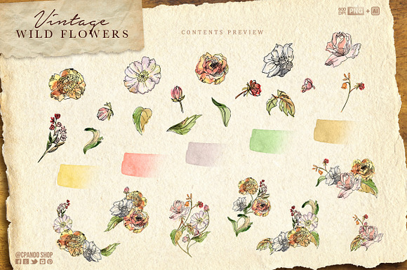 Vintage Wild Flowers watercolor in Illustrations - product preview 1