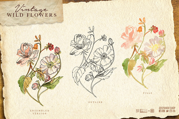 Vintage Wild Flowers watercolor in Illustrations - product preview 2