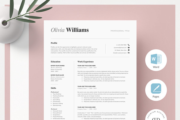ONE Page Resume Template Kit