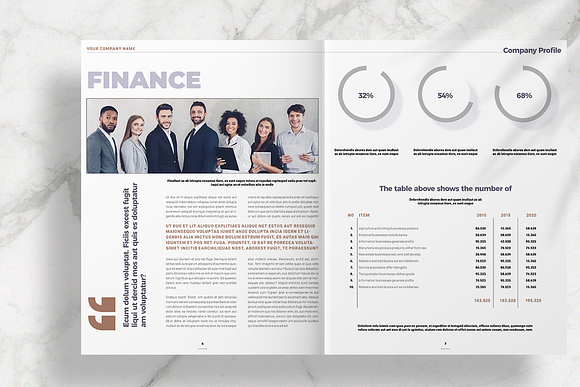 Company Profile 2020 in Brochure Templates - product preview 3