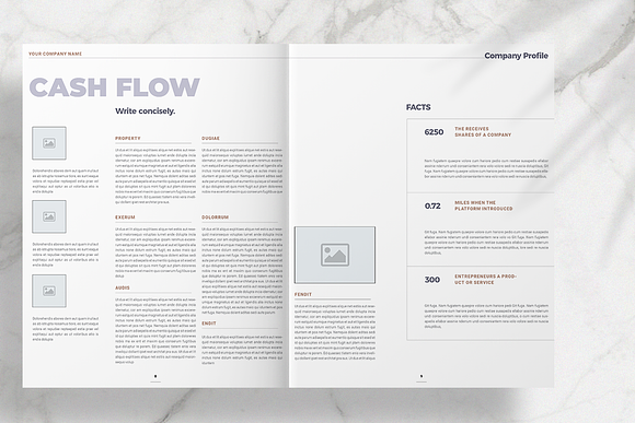 Company Profile 2020 in Brochure Templates - product preview 4