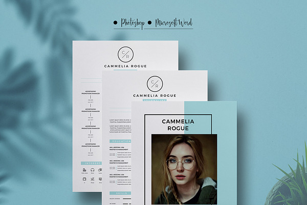 4 Page Resume Template