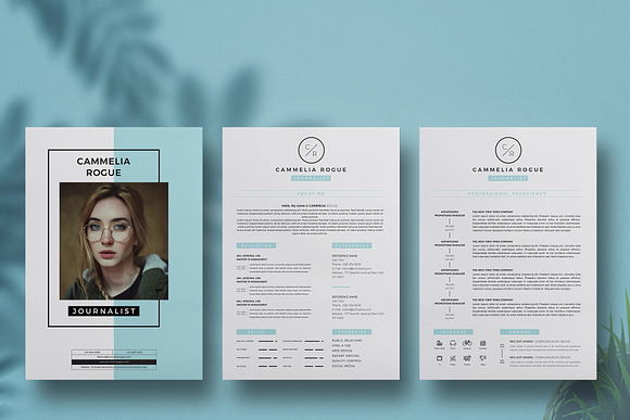 4 Page Resume Template in Resume Templates - product preview 2