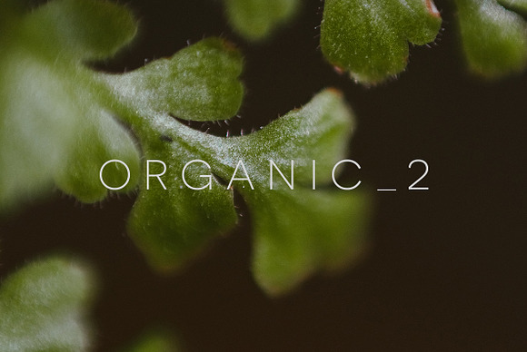 Organic 2 in Graphics - product preview 18