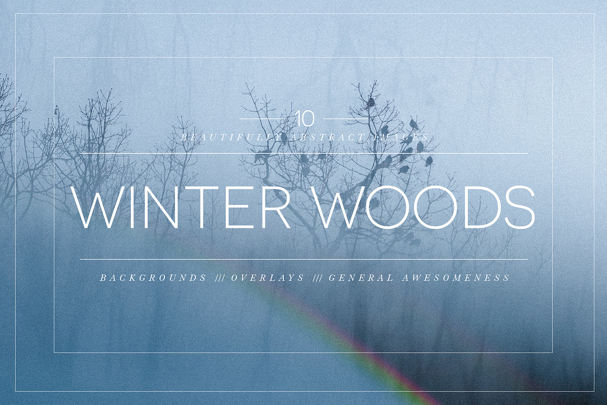 Winter Woods in Graphics - product preview 8