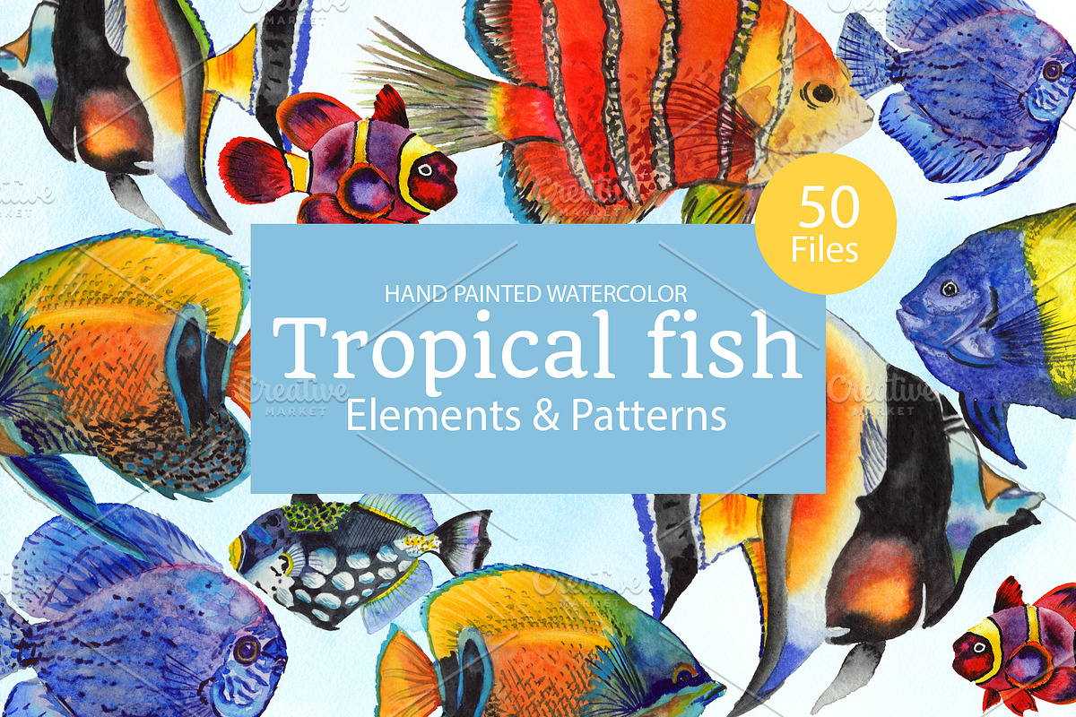 Fish illustration watercolor clipart in Illustrations - product preview 8