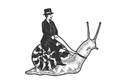Gentleman riding snail sketch vector