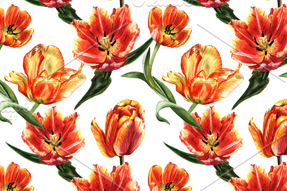 Tulip red PNG watercolor flower set in Illustrations - product preview 2