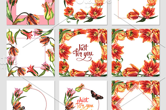 Tulip red PNG watercolor flower set in Illustrations - product preview 3
